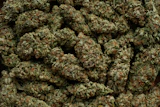 I Stock 2213978716