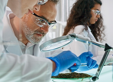 Lab Image 3