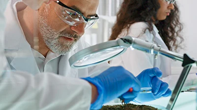 Lab Image 3