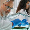 Lab Image 3