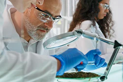 Lab Image 3