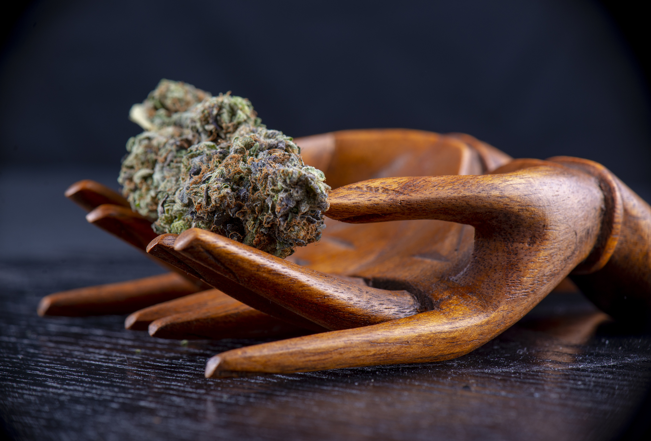 Wooden hand sculpture holding dried cannabis buds on dark surface