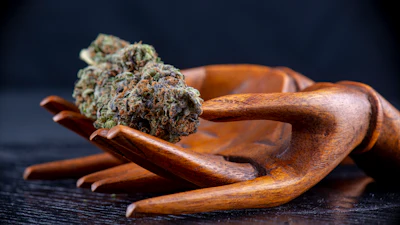 Wooden hand sculpture holding dried cannabis buds on dark surface