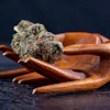 Wooden hand sculpture holding dried cannabis buds on dark surface