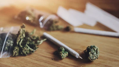 Cannabis buds and rolling papers arranged on wooden surface with smoking accessories