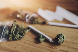 Cannabis buds and rolling papers arranged on wooden surface with smoking accessories