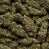 I Stock 2213978716