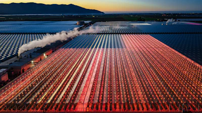 Steam train traveling through vibrant red and blue tulip fields at sunrise with mountains in the distance