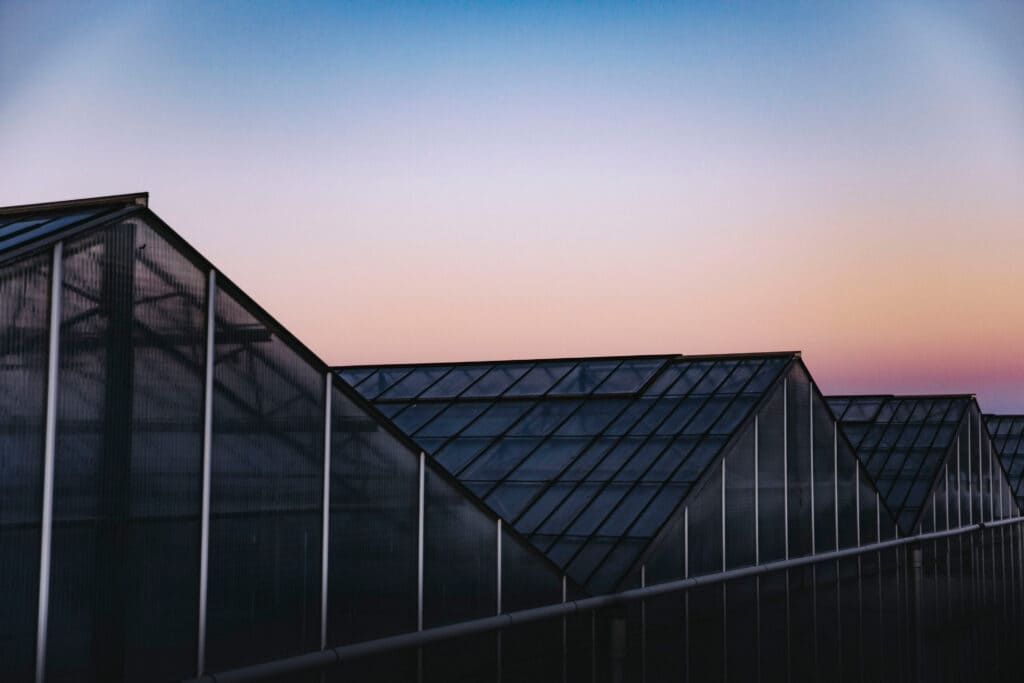 Row of commercial greenhouses silhouetted against a purple and pink sunset sky
