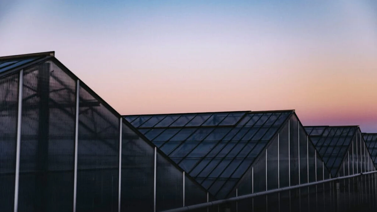 Mindful Rise Glass House Sees Cannabis Biomass Production Rise, Cost of Production ...