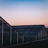 Row of commercial greenhouses silhouetted against a purple and pink sunset sky