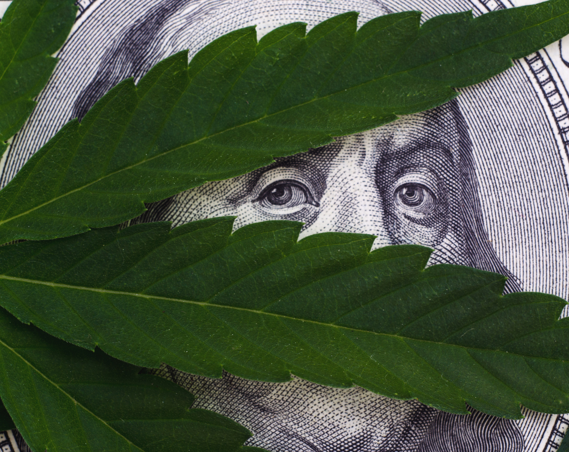Green leaves partially covering an engraved portrait on currency, symbolizing nature and financial themes.