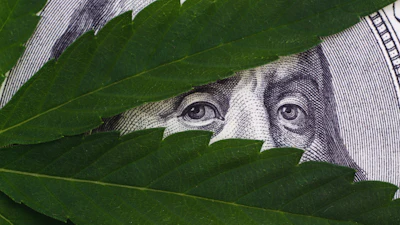 Green leaves partially covering an engraved portrait on currency, symbolizing nature and financial themes.