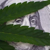 Green leaves partially covering an engraved portrait on currency, symbolizing nature and financial themes.