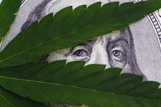 Green leaves partially covering an engraved portrait on currency, symbolizing nature and financial themes.