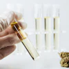 Scientist in latex gloves holding test tube with golden liquid during laboratory analysis with cannabis sample