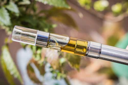 Golden vaping cartridge attached to silver battery component with blurred green foliage background