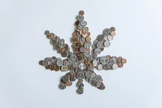 Coins arranged in a six-pointed star pattern on white background