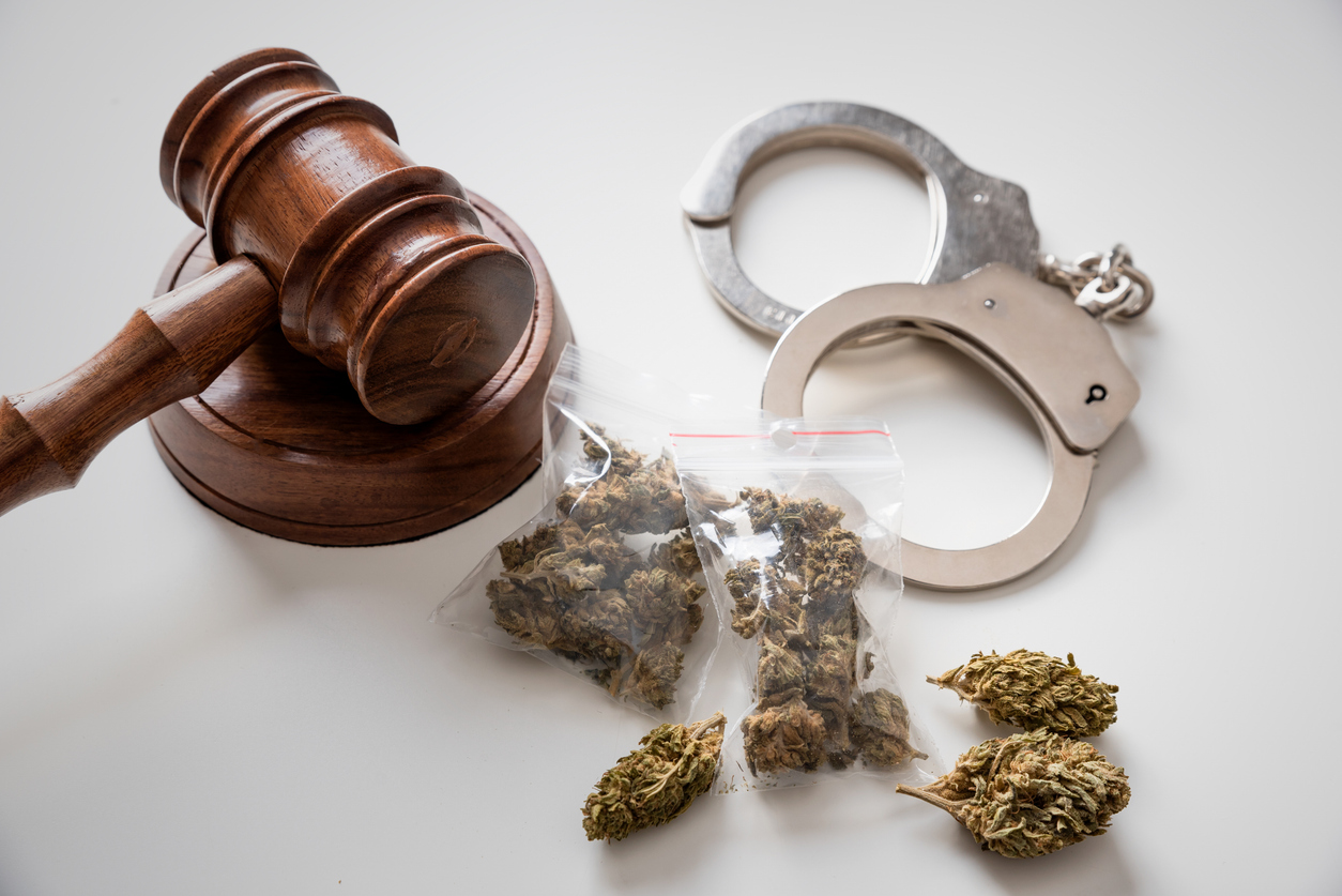 Wooden gavel, metal handcuffs, and cannabis buds on white background representing drug law enforcement