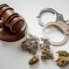 Wooden gavel, metal handcuffs, and cannabis buds on white background representing drug law enforcement