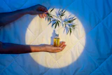 Hand holding golden oil bottle with cannabis leaf branch against glowing circular backdrop