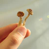 Two dried mushrooms with golden-brown caps held between fingers against a soft blurred background