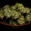 Dried cannabis flower buds arranged in a dark ceramic bowl on black background