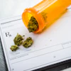 Orange prescription bottle with cannabis buds spilling onto medical Rx prescription pad