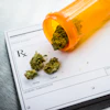 Orange prescription bottle with cannabis buds spilling onto a blank prescription pad with Rx symbol