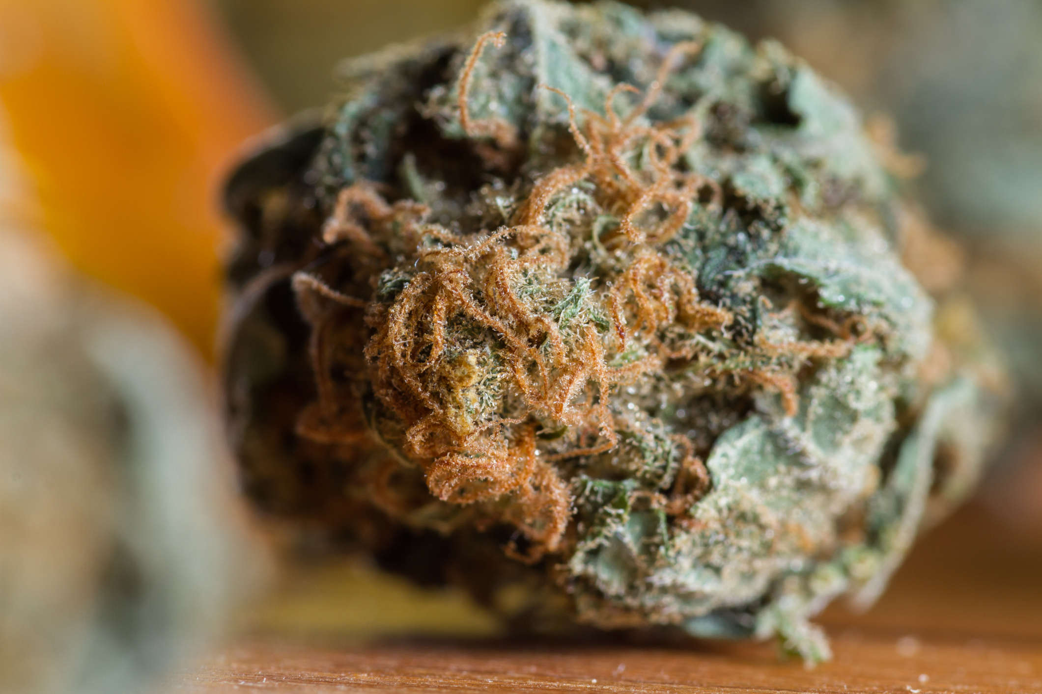 Close-up of cannabis flower bud with visible trichomes and crystalline coating