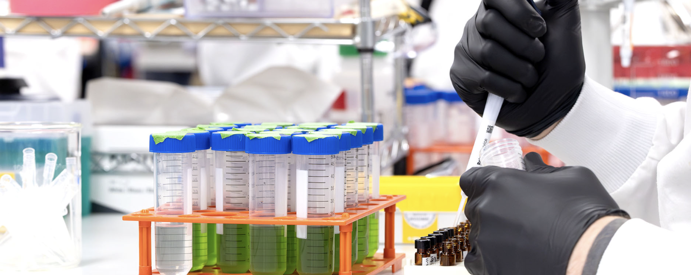 Scientist in black gloves holding labeled test tube in laboratory with colorful sample containers in orange rack