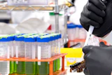 Scientist in black gloves holding labeled test tube in laboratory with colorful sample containers in orange rack